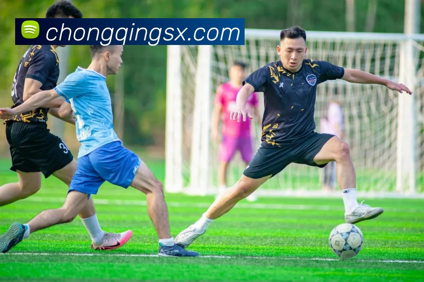 c7登录平台生态图